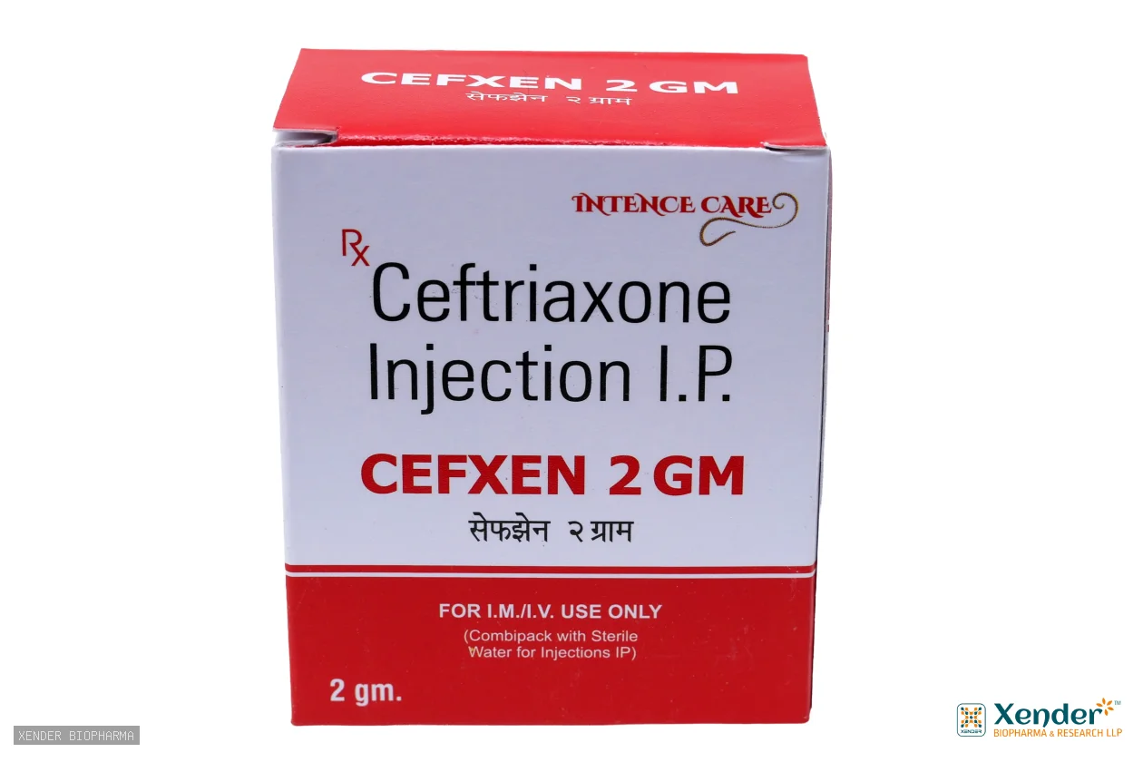 CEFXEN 2 GM